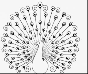 20 Peacock Coloring Pages For Kids - Visual Arts Ideas