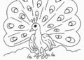 Printable Peacock Coloring Pages 2019