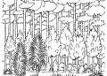 Coloring Pages of Forests