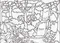 Coloring Pages of Forests 2020