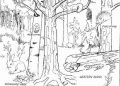 Coloring Pages of Forests Free Image