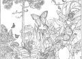 Coloring Pages of Forests Image