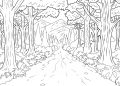 Coloring Pages of Forests Images