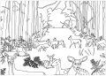 Coloring Pages of Forests Picture