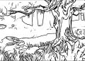 Coloring Pages of Forests Pictures