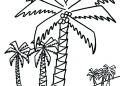 Palm Trees Coloring Pages For Children