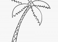 Palm Trees Coloring Pages Images