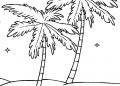 Palm Tree Coloring Pages Pictures