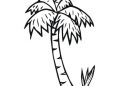 Small Palm Trees Coloring Pages
