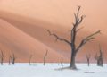 Nature Fine Art Photography Ideas of Namib