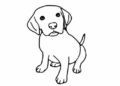 Animal Drawings Easy of Baby Dog