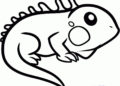 Animal Drawings Easy of Chameleon