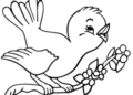 Animal Drawings Easy of Cute Bird