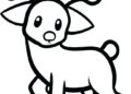 Animal Drawings Easy of Deer