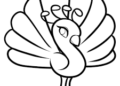 Animal Drawings Easy of Little Peacock