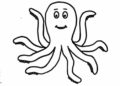 Animal Drawings Easy of Octopus