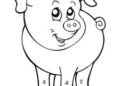 Animal Drawings Easy of Pig