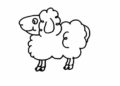 Animal Drawings Easy of Sheep