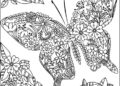 Butterfly Coloring Pages For Adult_01