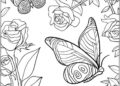 Butterfly Coloring Pages For Adult_04