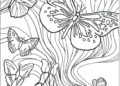 Butterfly Coloring Pages For Adult_05