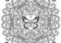 Butterfly Coloring Pages For Adult_10