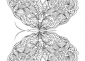 Butterfly Coloring Pages For Adult_11