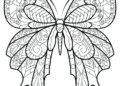 Butterfly Coloring Pages For Adult_18