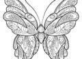 Butterfly Coloring Pages For Adult_20