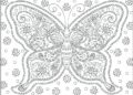 Butterfly Coloring Pages For Adult_21