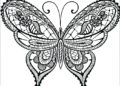 Butterfly Coloring Pages For Adult_26