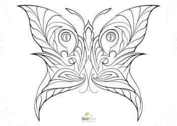 adult butterfly coloring pages