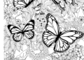 Butterfly Coloring Pages For Adult_29