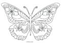 Butterfly Coloring Pages For Adult_30