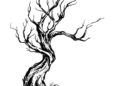 Dead Tree Drawing Ideas
