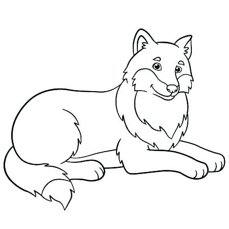 15 Wolf Drawing Easy for Kids - Visual Arts Ideas