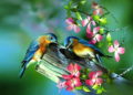 Painting of Birds Couple on Tree