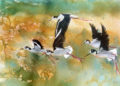 Painting of Birds in Flight