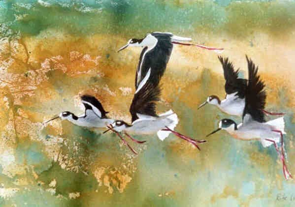 40 Painting of Birds - Visual Arts Ideas