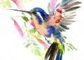 Painting of Birds of Watercolor Hummingbird Painting