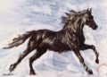Painting of Black Horse Running