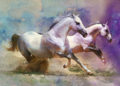 Painting of Horse Couple