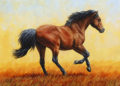 Painting of Horse Images