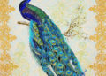 Painting of Peacock