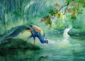 Painting of Peacock in Nature of Watercolor Painting