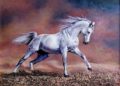 Painting of White Horse in Oil Painting