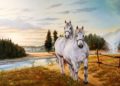Painting of White Horses Couple
