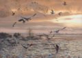 Paintings of Birds Flying in Nature