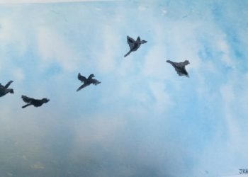15 Paintings of Birds Flying - Visual Arts Ideas