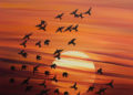 Paintings of Birds on Sunset